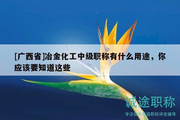 [廣西省]冶金化工中級(jí)職稱有什么用途，你應(yīng)該要知道這些