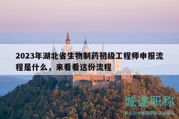 2023年湖北省生物制藥初級(jí)工程師申報(bào)流程是什么，來看看這份流程