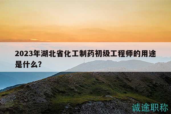 2023年湖北省化工制藥初級工程師的用途是什么？