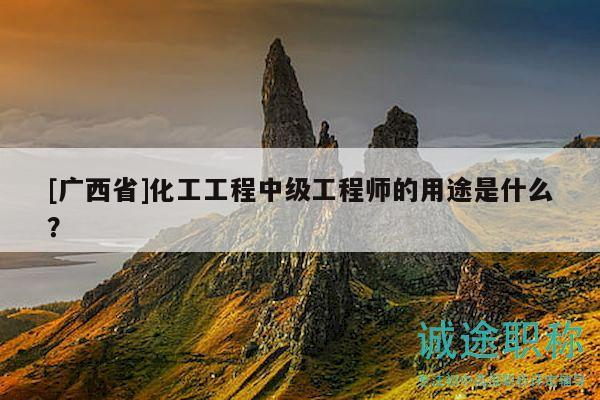 [廣西省]化工工程中級工程師的用途是什么？