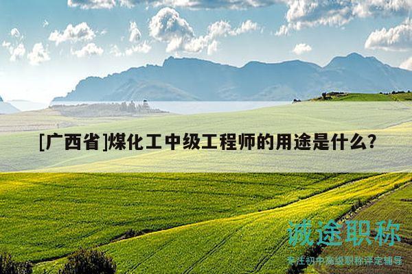 [廣西省]煤化工中級工程師的用途是什么？