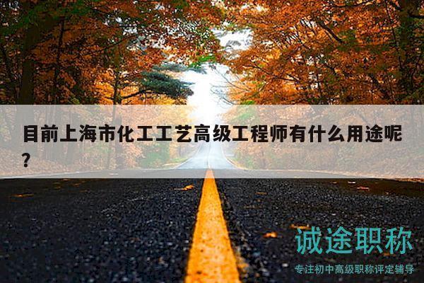 目前上海市化工工藝高級工程師有什么用途呢？