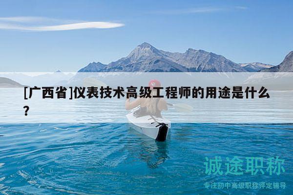 [廣西省]儀表技術(shù)高級工程師的用途是什么？