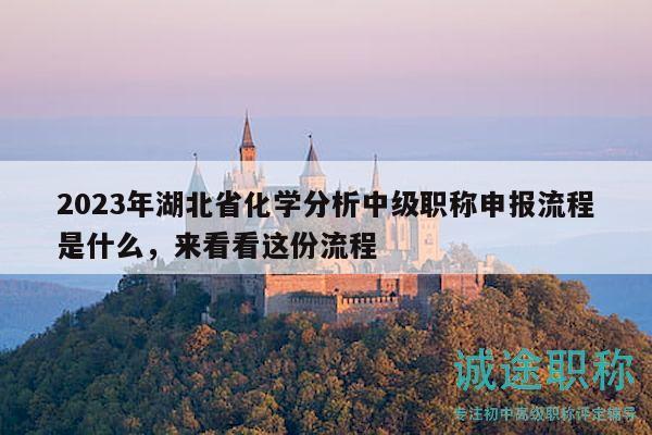 2023年湖北省化學(xué)分析中級(jí)職稱申報(bào)流程是什么，來(lái)看看這份流程