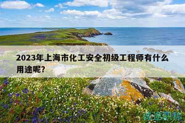2023年上海市化工安全初級工程師有什么用途呢？