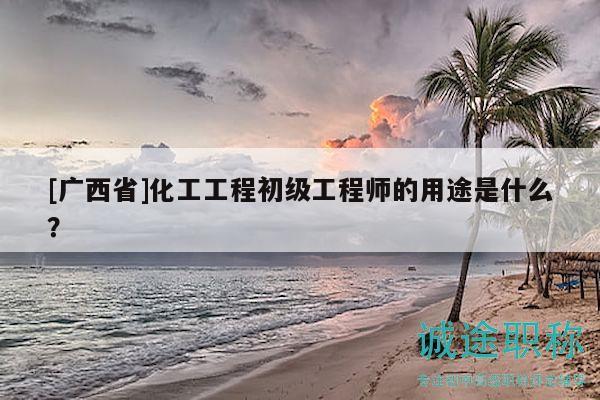 [廣西省]化工工程初級工程師的用途是什么？