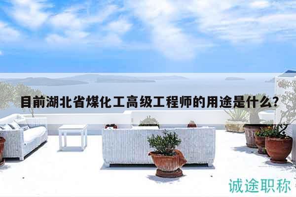 目前湖北省煤化工高級工程師的用途是什么？