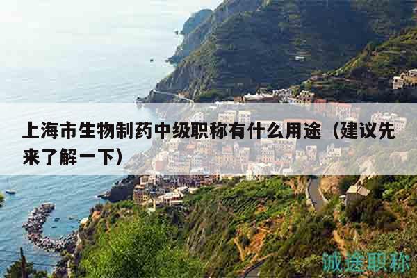 上海市生物制藥中級(jí)職稱有什么用途（建議先來了解一下）
