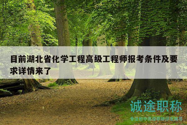目前湖北省化學(xué)工程高級(jí)工程師報(bào)考條件及要求詳情來(lái)了