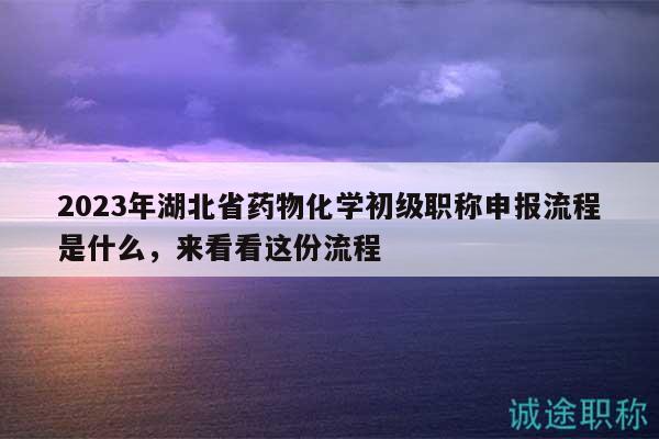 2023年湖北省藥物化學(xué)初級職稱申報流程是什么，來看看這份流程