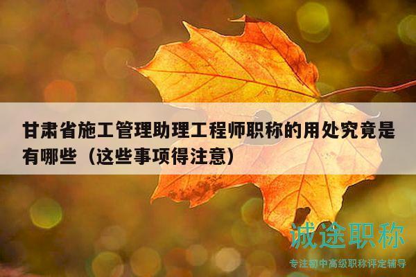 甘肅省施工管理助理工程師職稱的用處究竟是有哪些（這些事項得注意）