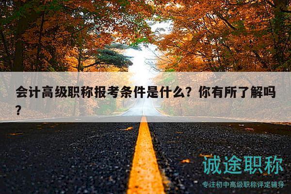 會計高級職稱報考條件是什么？你有所了解嗎？
