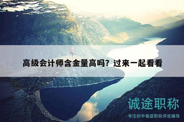 高級會計(jì)師含金量高嗎？過來一起看看