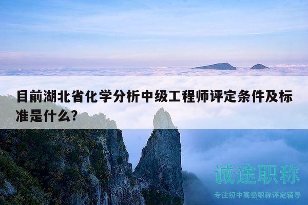目前湖北省化學(xué)分析中級工程師評定條件及標(biāo)準(zhǔn)是什么？