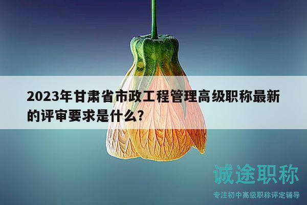 2023年甘肅省市政工程管理高級(jí)職稱最新的評(píng)審要求是什么？