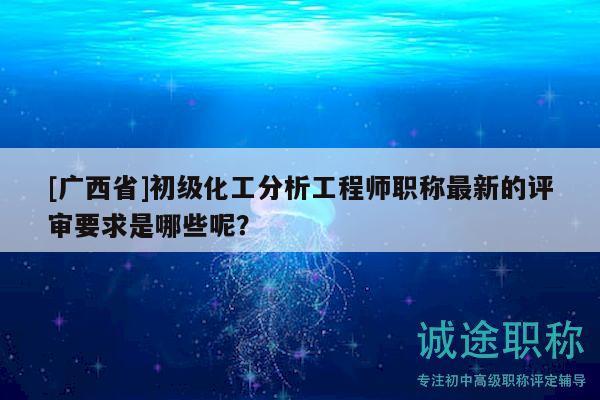 [廣西省]初級化工分析工程師職稱最新的評審要求是哪些呢？