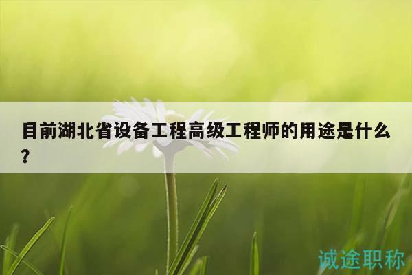 目前湖北省設備工程高級工程師的用途是什么？
