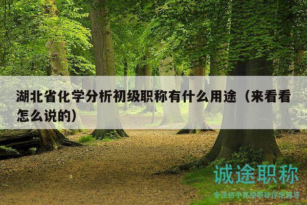 湖北省化學(xué)分析初級職稱有什么用途（來看看怎么說的）