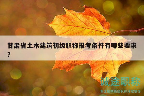 甘肅省土木建筑初級(jí)職稱(chēng)報(bào)考條件有哪些要求？