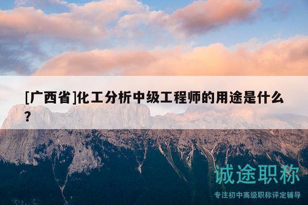 [廣西省]化工分析中級工程師的用途是什么？