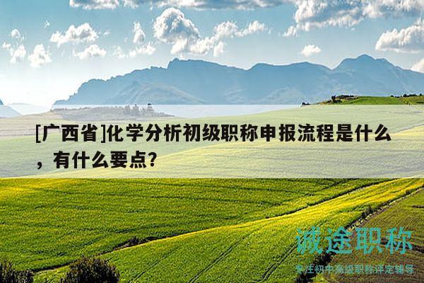 [廣西省]化學(xué)分析初級職稱申報流程是什么，有什么要點？