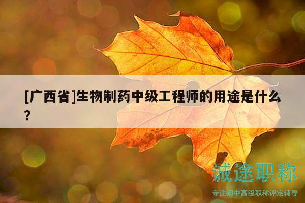 [廣西省]生物制藥中級工程師的用途是什么？