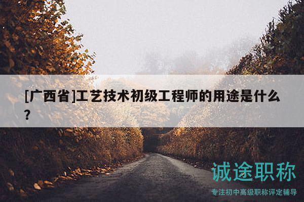 [廣西省]工藝技術初級工程師的用途是什么？