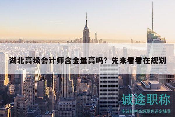 湖北高級會計師含金量高嗎？先來看看在規(guī)劃