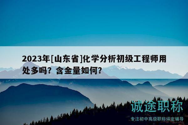 2023年[山東省]化學(xué)分析初級(jí)工程師用處多嗎？含金量如何？