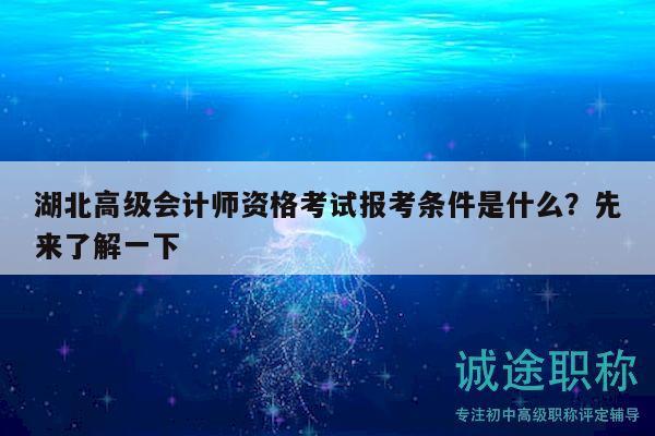 湖北高級會計(jì)師資格考試報(bào)考條件是什么？先來了解一下