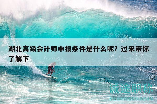 湖北高級(jí)會(huì)計(jì)師申報(bào)條件是什么呢？過來(lái)帶你了解下