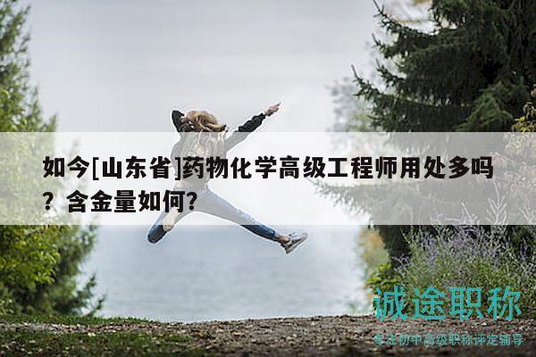 如今[山東省]藥物化學(xué)高級(jí)工程師用處多嗎？含金量如何？