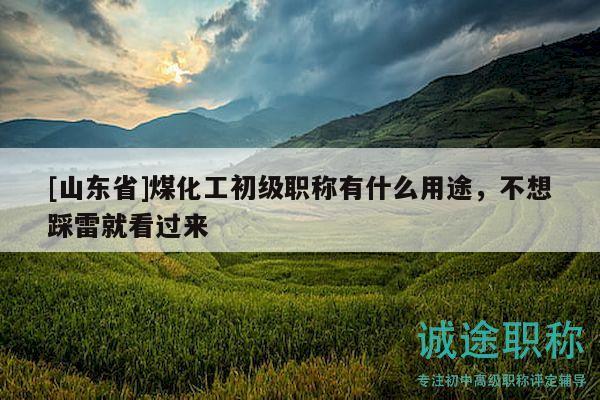 [山東省]煤化工初級職稱有什么用途，不想踩雷就看過來