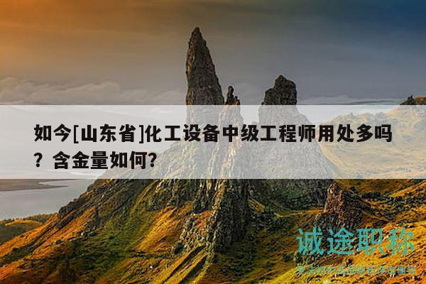 如今[山東省]化工設備中級工程師用處多嗎？含金量如何？
