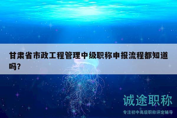 甘肅省市政工程管理中級(jí)職稱申報(bào)流程都知道嗎？