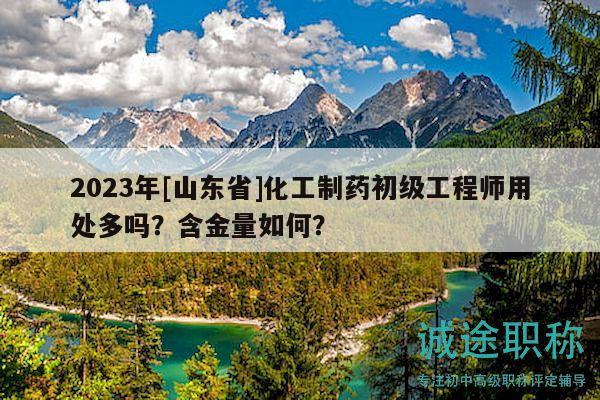 2023年[山東省]化工制藥初級工程師用處多嗎？含金量如何？