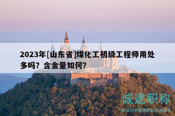2023年[山東省]煤化工初級(jí)工程師用處多嗎？含金量如何？