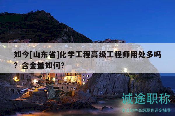 如今[山東省]化學(xué)工程高級(jí)工程師用處多嗎？含金量如何？