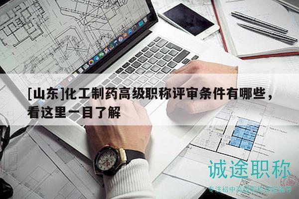 [山東]化工制藥高級職稱評審條件有哪些，看這里一目了解
