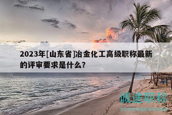 2023年[山東省]冶金化工高級職稱最新的評審要求是什么？