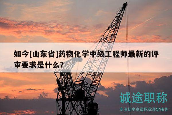 如今[山東省]藥物化學(xué)中級(jí)工程師最新的評(píng)審要求是什么？
