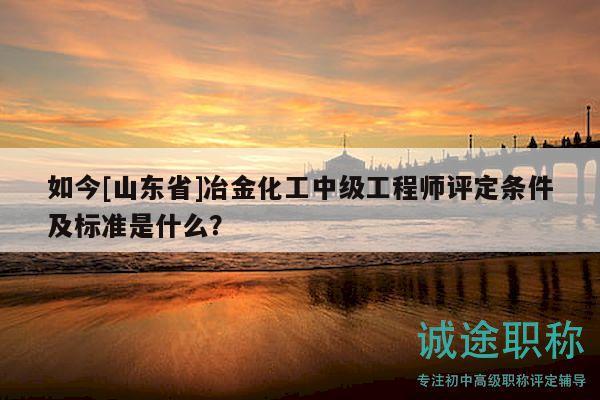 如今[山東省]冶金化工中級工程師評定條件及標準是什么？