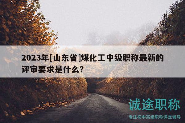 2023年[山東省]煤化工中級職稱最新的評審要求是什么？