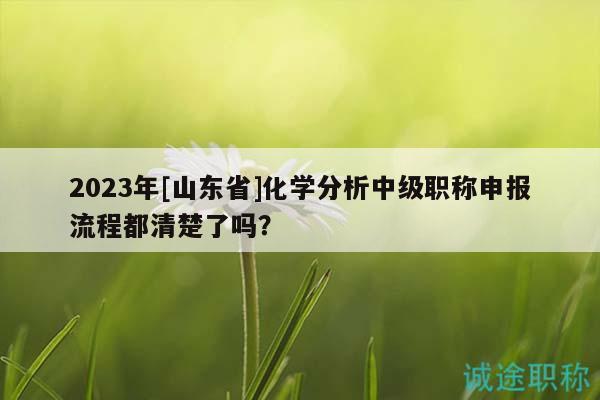 2023年[山東省]化學(xué)分析中級職稱申報(bào)流程都清楚了嗎？