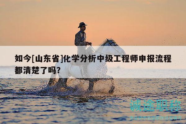 如今[山東省]化學(xué)分析中級(jí)工程師申報(bào)流程都清楚了嗎？