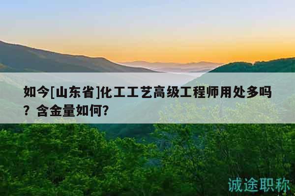 如今[山東省]化工工藝高級工程師用處多嗎？含金量如何？