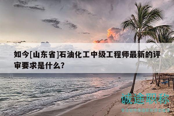 如今[山東省]石油化工中級工程師最新的評審要求是什么？