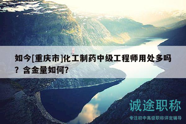 如今[重慶市]化工制藥中級工程師用處多嗎？含金量如何？