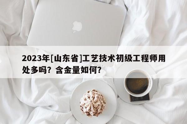 2023年[山東省]工藝技術(shù)初級(jí)工程師用處多嗎？含金量如何？