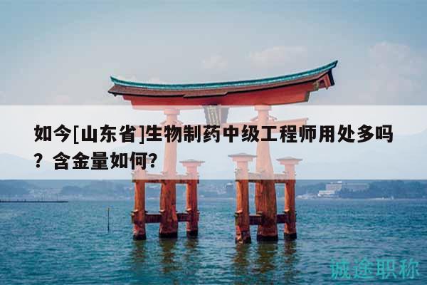 如今[山東省]生物制藥中級工程師用處多嗎？含金量如何？